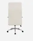 Eldo Fixed Chrome Armrest Backrest and Seat Chair - 1