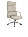 Eldo Fixed Chrome Armrest Backrest and Seat Chair - 3