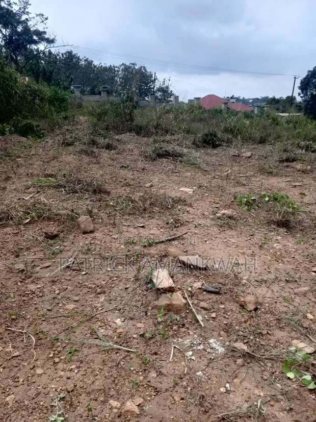Land for Sale in Aburi - 100x70ft Plots - 1