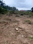 Land for Sale in Aburi - 100x70ft Plots - 1