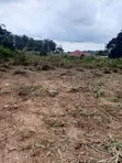 Land for Sale in Aburi - 100x70ft Plots - 2