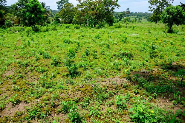 Noble Estate Residential Land for Sale, Prampram - 1