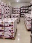 Communion Bread and Wine Combo - 2