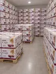 The Communion House Prefilled Communion Cups - 2