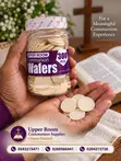 Pack of 300 Communion Bread - 2