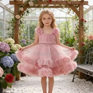 Luxury Princess Ball Gown