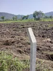 Fertile Land for Sale - Ho Municipal - 3