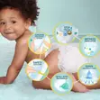 Pampers Premium Protect Diapers, New Baby Size 3, 70 Pack - 3