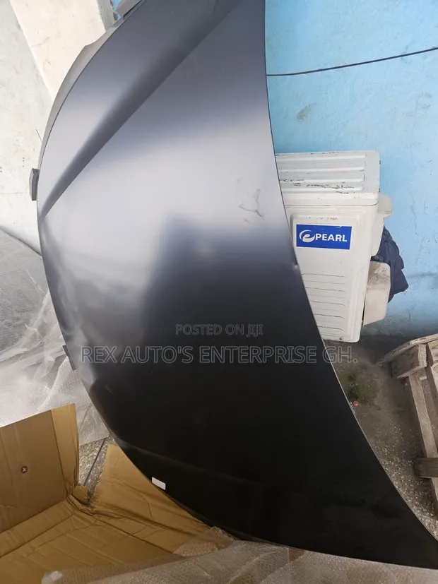 Hyundai Santa Fe Bonnet (2016-2019) - 1