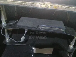 PlayStation 3 with 2 Controllers