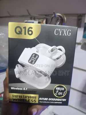 Q16 Wireless Earbuds with Ear-Hook