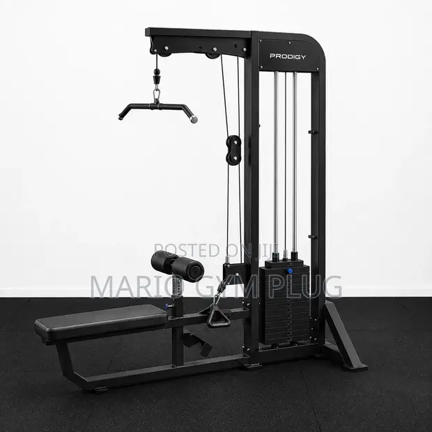 Lat Pulldown & Seated Row Machine (2-in-1) with 100kg Weights - 1