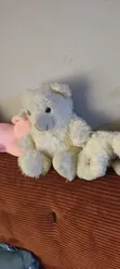 Teddy Bear - Brand New - 1