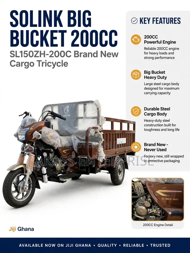 Solink 200CC Cargo Tricycle - Brown - 1