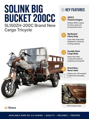 Solink 200CC Cargo Tricycle - Brown