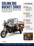 Solink 200CC Cargo Tricycle - Brown - 1