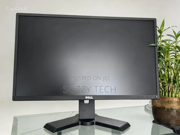 Dell P2417H 24" Full HD IPS Monitor - 1