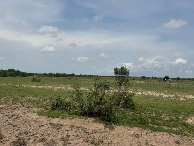 Madula Group - Genuine Litigation-Free Lands in Sege - 1