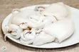 Cattle Fish - Hygienic and Delicious - 3