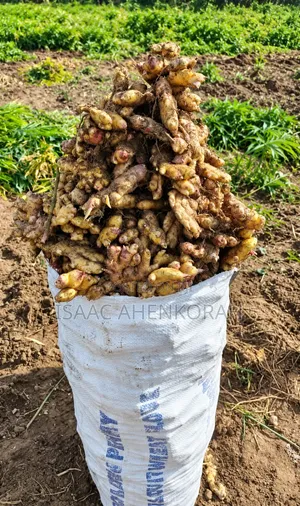 Fresh Organic Ginger