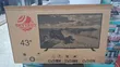 Skyvest 43" LED TV - Brand New - 1