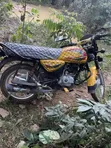 Bajaj Boxer 2026 Yellow - 3