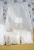Oyster Mushroom Spawn Seed - 2