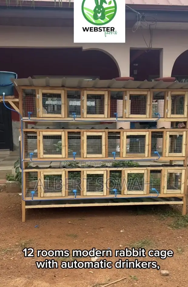Modern Rabbit and Grasscutter Cages - 1
