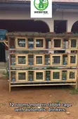 Modern Rabbit and Grasscutter Cages - 1