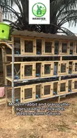 Modern Rabbit and Grasscutter Cages - 4