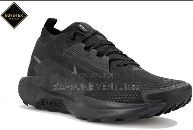 Nike Trail Gore-Tex Shoes - 1