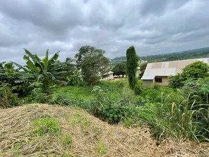 Mixed-use Land for Sale in Techiman Ayimana
