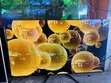 LG OLED 55-Inch Smart TV - 3