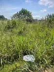 Residential Plot for Sale - 80x100 ft at Donyina - 3