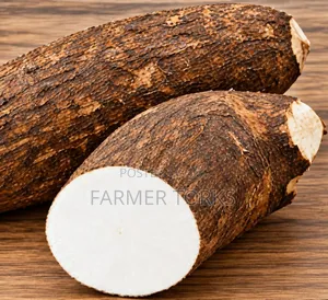 Fresh Yam Tuber