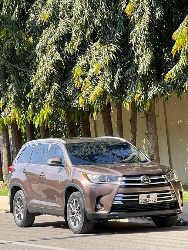Toyota Highlander XLE 2019 Brown - 1