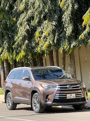 Toyota Highlander XLE 2019 Brown