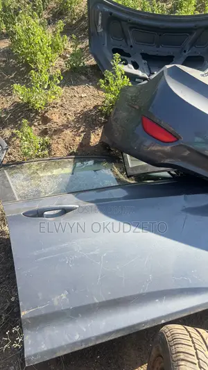 2013 Hyundai Accent Doors (Used)