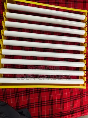 56 Egg Incubator Tray with Motor