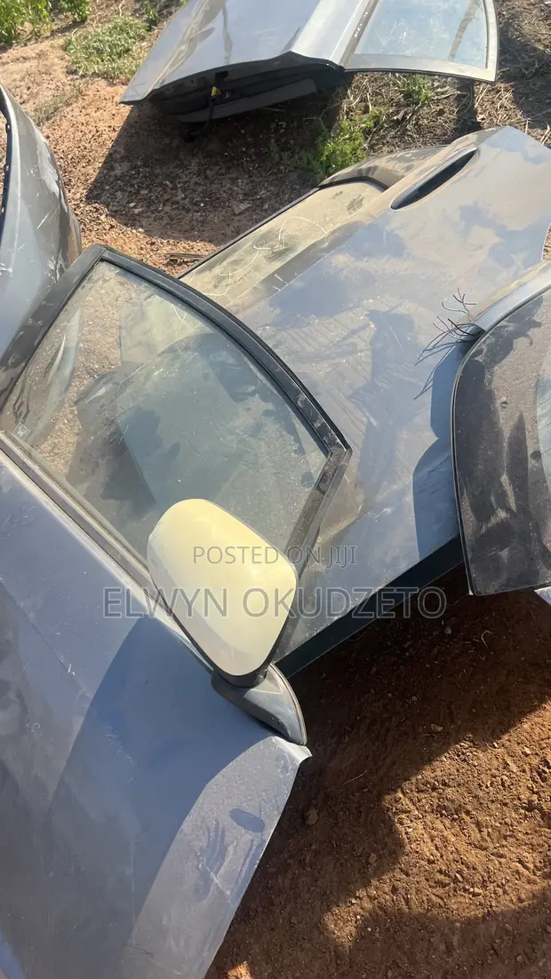 2010-2013 Honda Fit Doors - 1