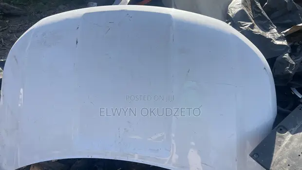 2016-2019 Ford Explorer Bonnet Hood - 1