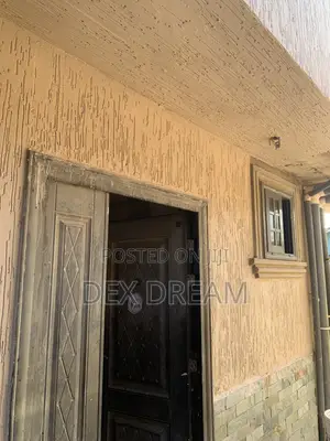 Professional Painting Services