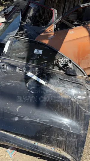 2021-2025 Hyundai Sorento Doors (Used)