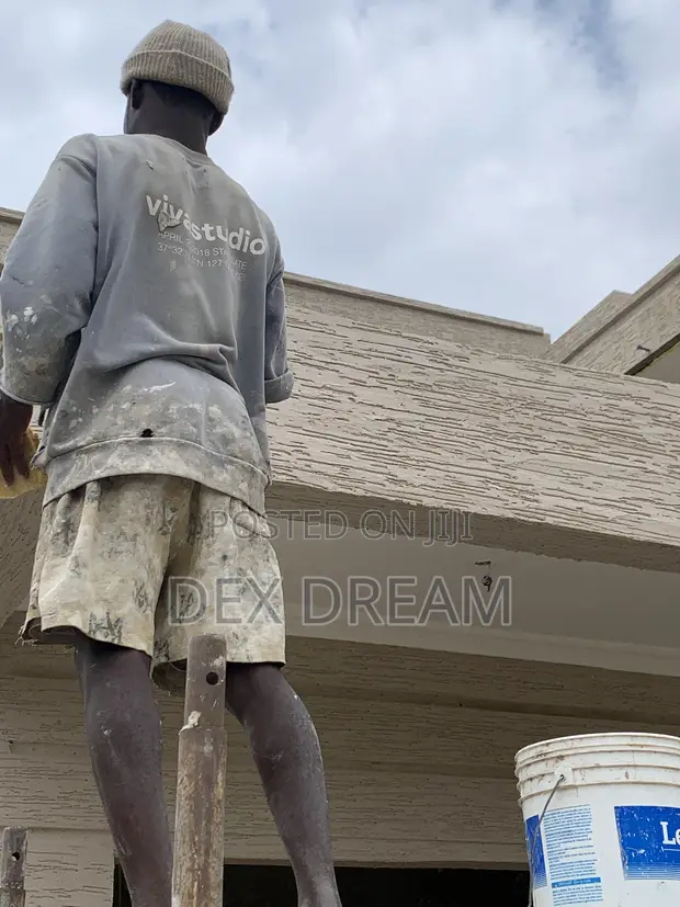 Professional Painting & Renovation Services - 1