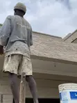 Professional Painting & Renovation Services - 1