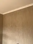 Professional Painting & Renovation Services - 4