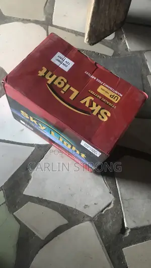 Global Batteries: 15-Plate Skylight Battery