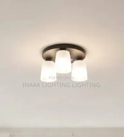 3-Head Ceiling Light - Black Base with Clear Glass - 1