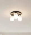 3-Head Ceiling Light - Black Base with Clear Glass - 1