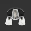 3-Head Ceiling Light - Black Base with Clear Glass - 2